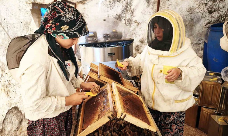 Muğla'da bal üreticileri glikozlu balın çam balı diye satılmasına tepki gösterdi | İşte Tüm Ayrıntılar
