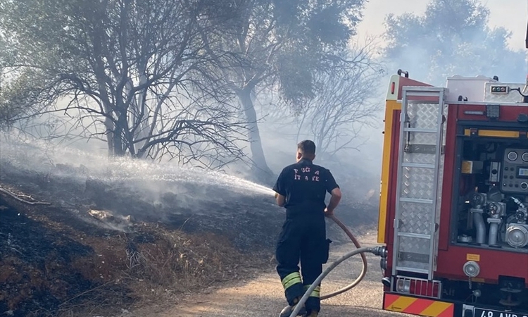 Muğla Milas'ta otluktan zeytinliğe sıçrayan yangın havadan ve karadan söndürüldü ve Merak Edilenler