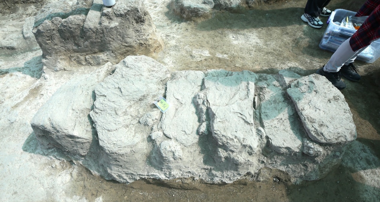 The discovery that will change the course of history in Muş: They are racing against time - Last Minute
