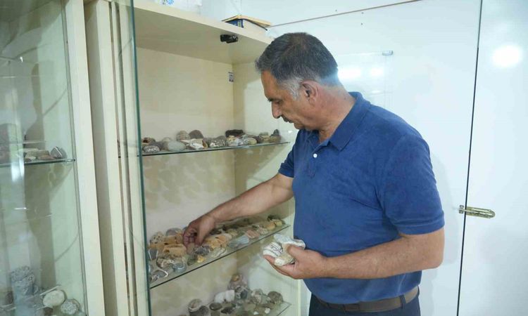 Muşlu çobanın 40 yıllık taş koleksiyonu: 400'den fazla doğa harikası - Haberleri - Son Dakika Bilgileri