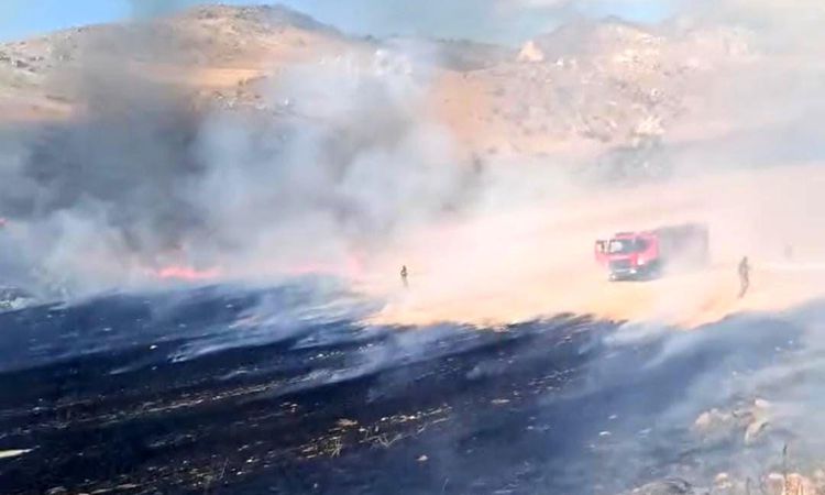 The flames in the grassy area in Nallıhan were extinguished - News