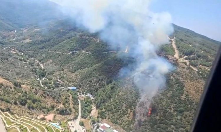 Kritik Açıklama: Narlıdere'deki orman alevlerı kontrol altında - Son Dakika: Gelişmeler Takip Ediliyor