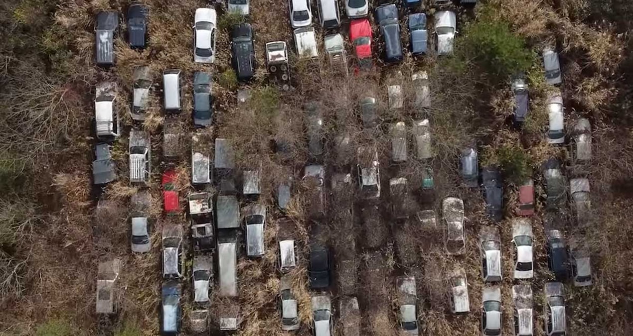 They can neither sell nor move: Million-dollar cars have been rotting with their keys on for 15 years - Breaking News