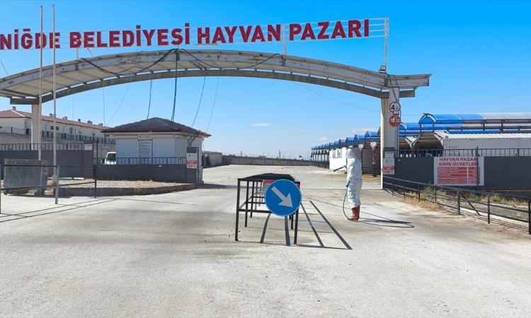 Niğde Belediyesi, çevre illerdeki şap ihbarları üzerine hayvan pazarını dezenfekte etti - Son Dakika Bilgileri