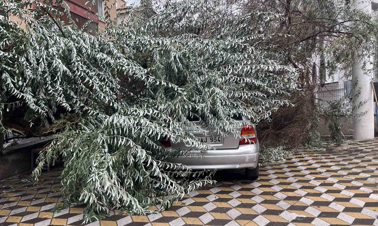 Son Gelişme: Niğde'de devrilen ağaç otomobile zarar verdi - Haberleri