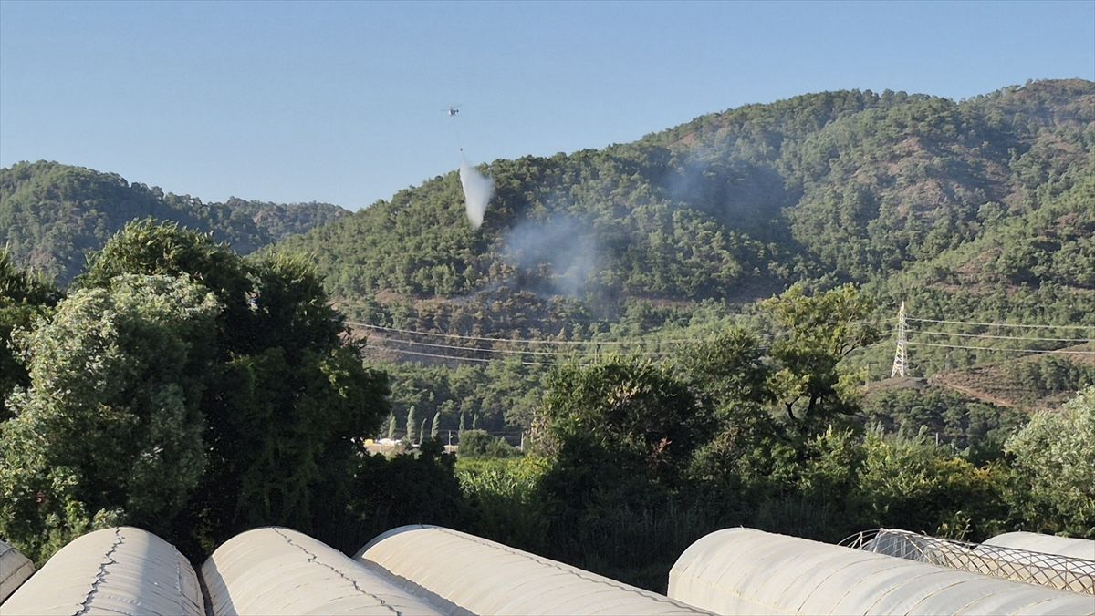 The flames in the forest area in Ortaca were contained - Last Minute