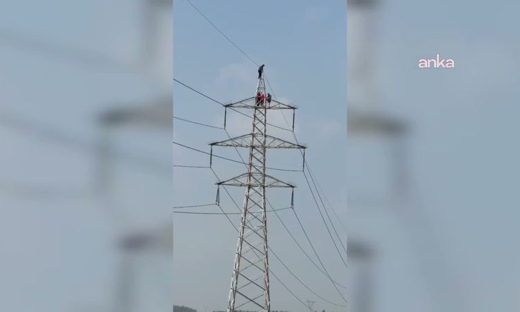 Osmaniye'de Alacakları İçin Elektrik Direğine Çıkan 4 İşçi İkna Edilerek İndirildi - Son Dakika - Son Dakika B