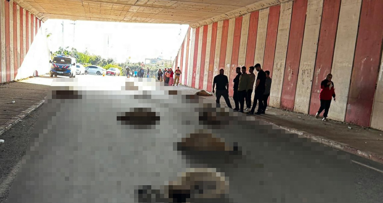 Son Gelişme: Otomobil koyun sürüsüne daldı, 18'i öldü - En Son Haber: Gelişmeler Takip Ediliyor