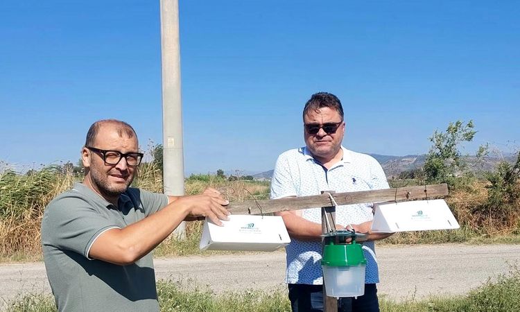 Pheromone traps were set up to monitor pests in cotton fields - News
