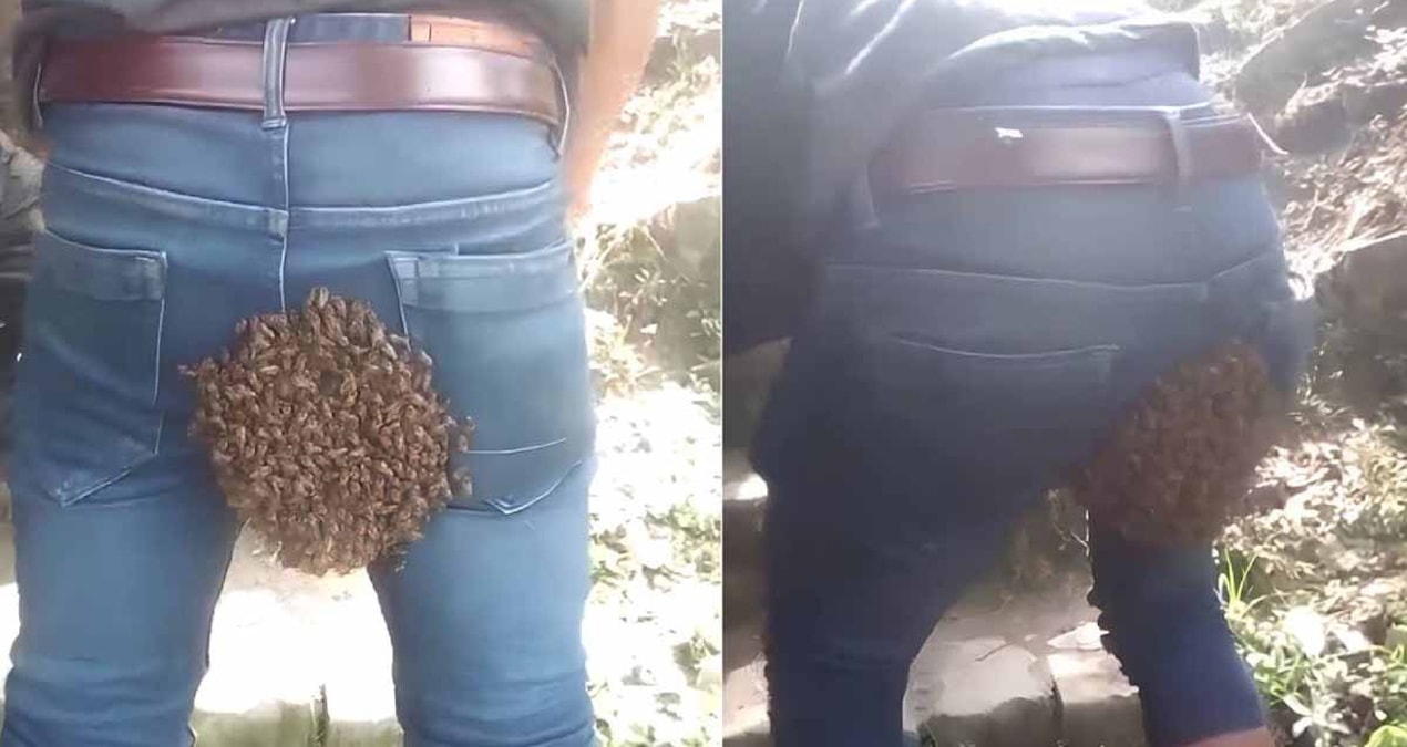 Gündemden Son Bilgiler: Pantolonuna Kraliçe arı girdi, binlerce 'muhafız' peşinden gitti! Hayatının en uzun 30