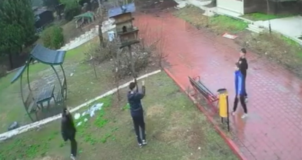 Parktaki kuş yuvasını parçalayan çocukların cezası netlik kazandı - Son Dakika - Son Dakika Bilgileri