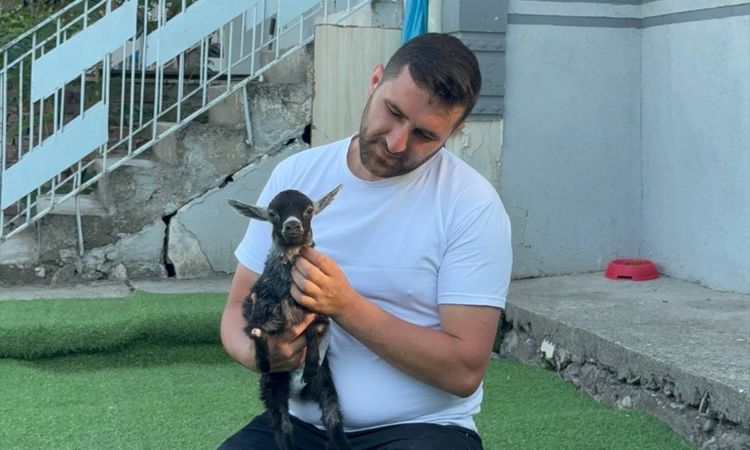 The couple who went to the pet shop to buy feed adopted a baby goat that was born walking disabled - Last Minute