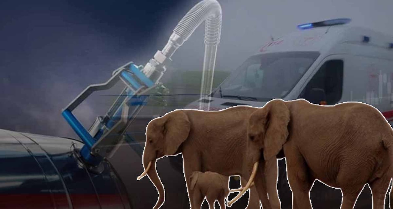 Gündemden Son Bilgiler: Petrol şoku 3 ülkeyi vurdu: Benzin istasyonları kapanırken, filler yollara gerileme ka