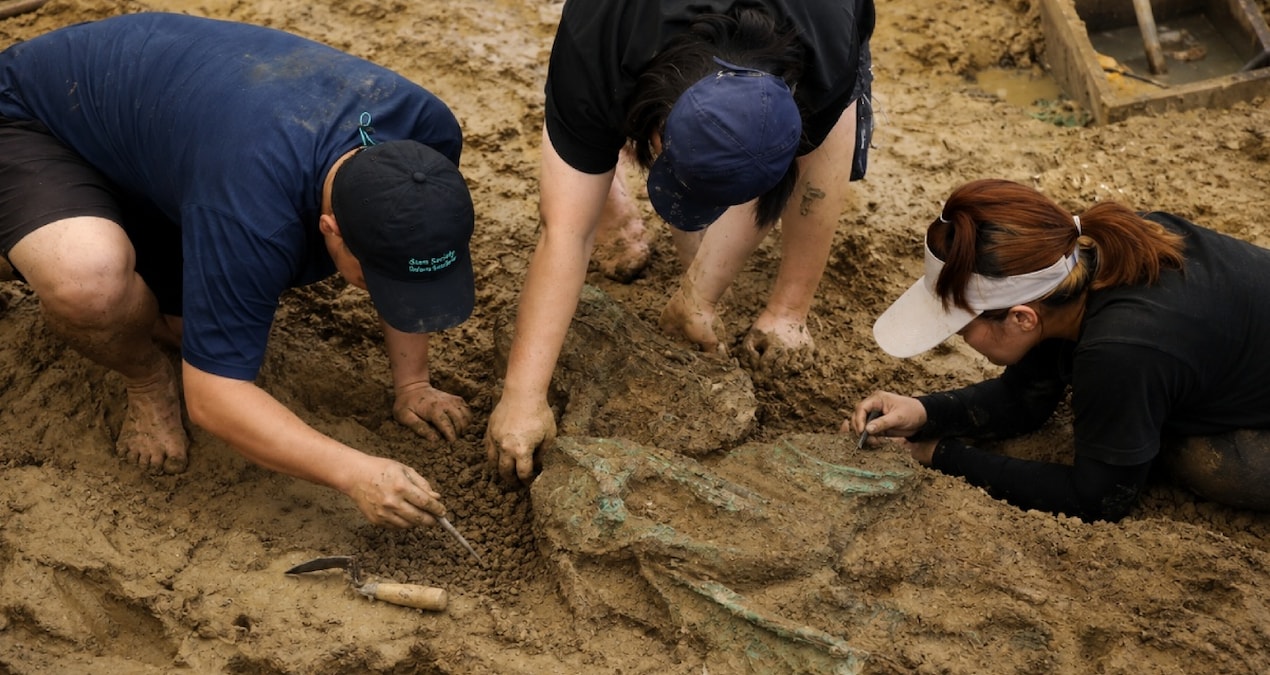 2,000-year-old gold rings were found under the rice field - Breaking News