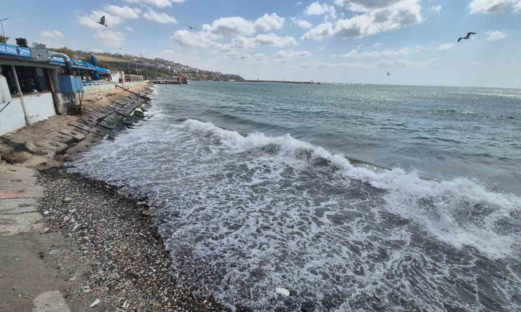 Ayrıntılar Netleşti: Poyraz Tekirdağ'da Deniz Ulaşımını Vurdu: 8 Gemi Demirledi - Haberleri: Gelişmeler Takip