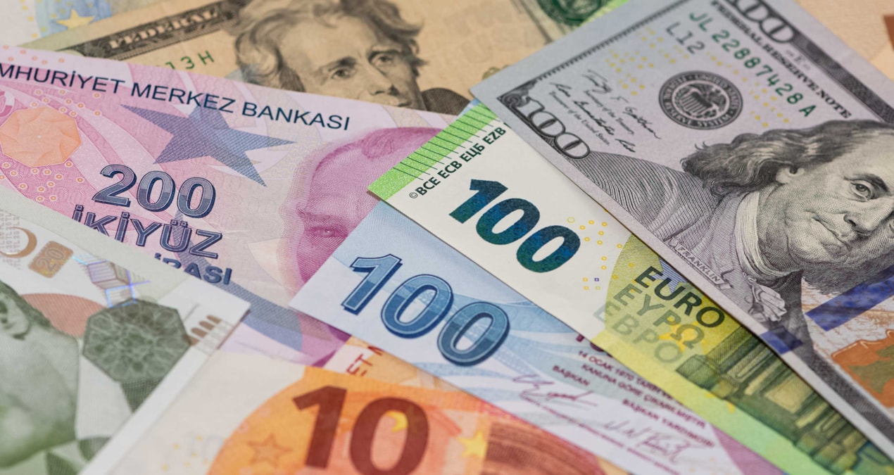 Kritik Açıklama: Reel kur endeksi mayısta geriledi: TL'nin reel değeri TÜFE bazında gerileme kaydetti - Son Da