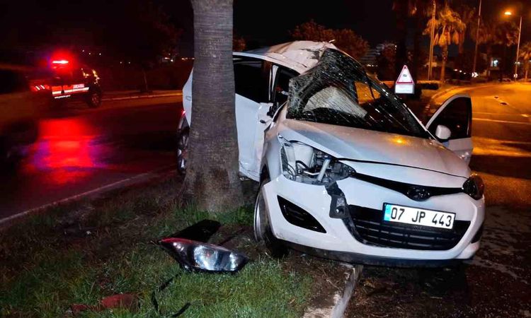 The driver of the car that hit the palm tree on the median was injured - Breaking News