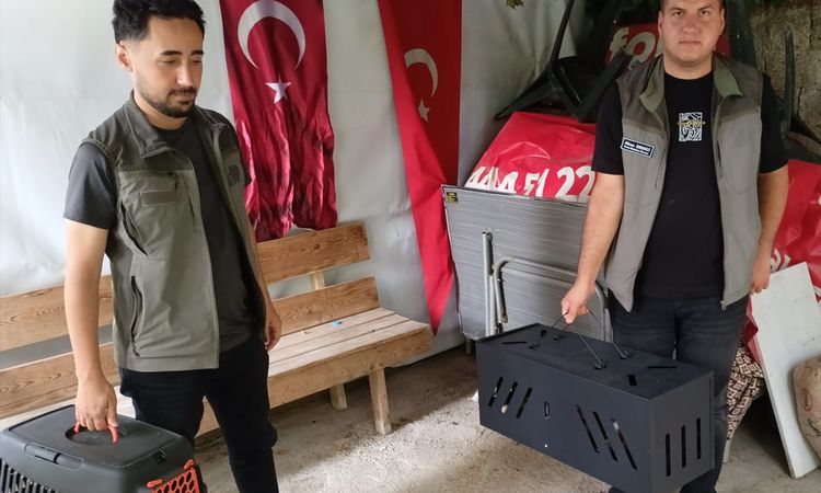 Sıcak Gündem: Reşadiye'de Çukura Düşen Tilki Yavrusu Kurtarıldı - Haberleri - Son Dakika Bilgileri