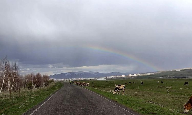 The rainbow that appeared after the heavy rain was enchanting - News