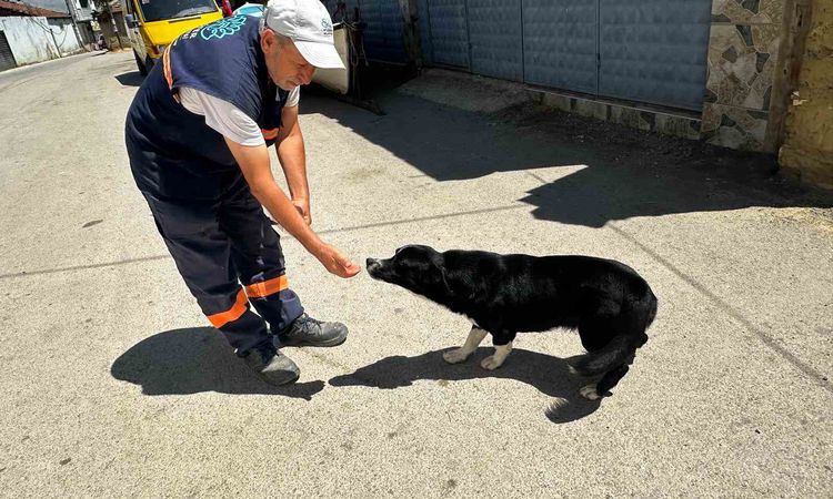 Sahibi ölen "Dayı"yı yalnız bırakmayan temizlik görevlisinin kalp ısıtan hikayesi - Son Dakika - Son Dakika Bi