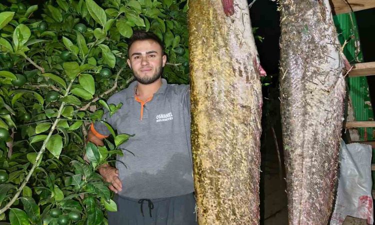 Son Gelişme: Sakarya Nehri’nden 34 kiloluk dev yayın çıktı - Son Dakika Haberleri | İşte Tüm Ayrıntılar