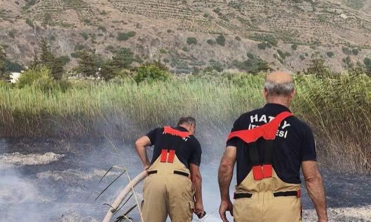 Ayrıntılar Netleşti: Samandağ’da bahçe alevlerı büyümeden söndürüldü - Son Dakika Haberleri