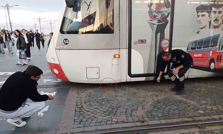Samsun'da tramvayın altına giren yavru kedi, rayların ortasında canlı bulundu - Son Dakika Bilgileri