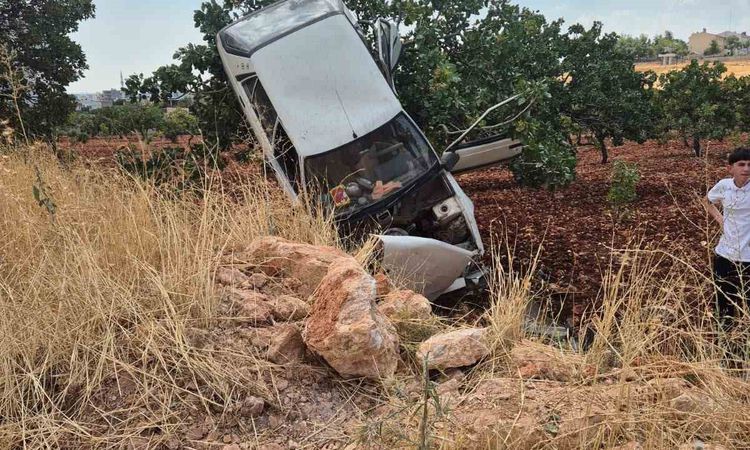 Ayrıntılar Netleşti: Şanlıurfa'da Otomobil Fıstık Ağacında Asılı Kaldı: 2 Yaralı - Son Dakika Haberleri ve Mer