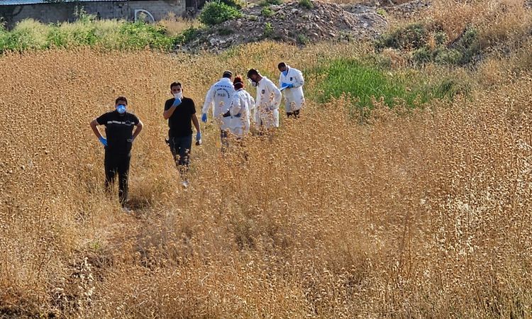 Şanlıurfa'da Tarlada Erkek Cesedi Bulundu - Haberleri | İşte Tüm Ayrıntılar
