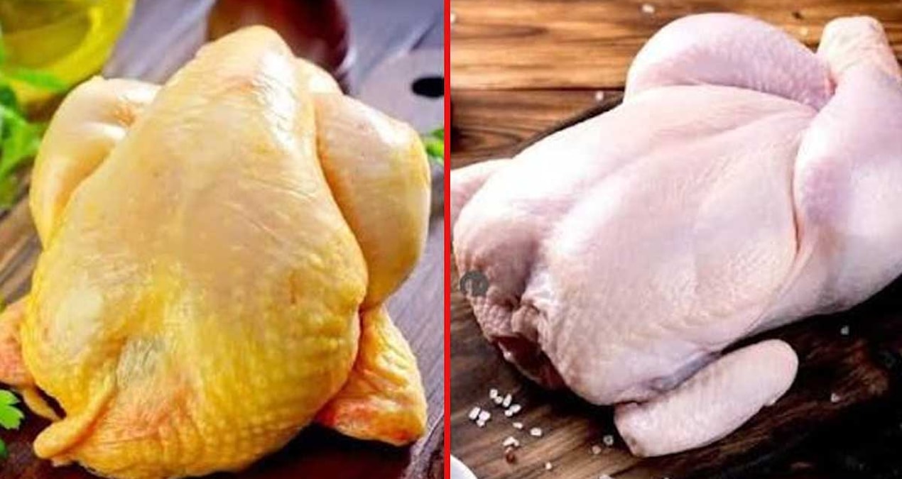 Is yellow-skinned chicken or white-skinned chicken healthier? Butchers put the final point - Breaking News