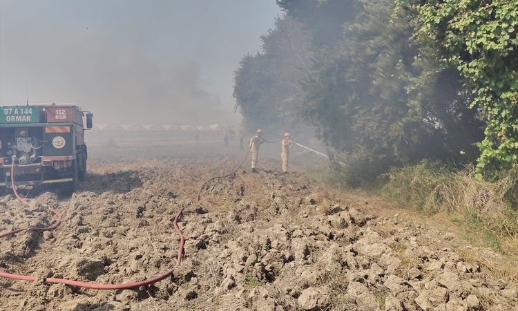 Stubble flames in Serik were extinguished - News