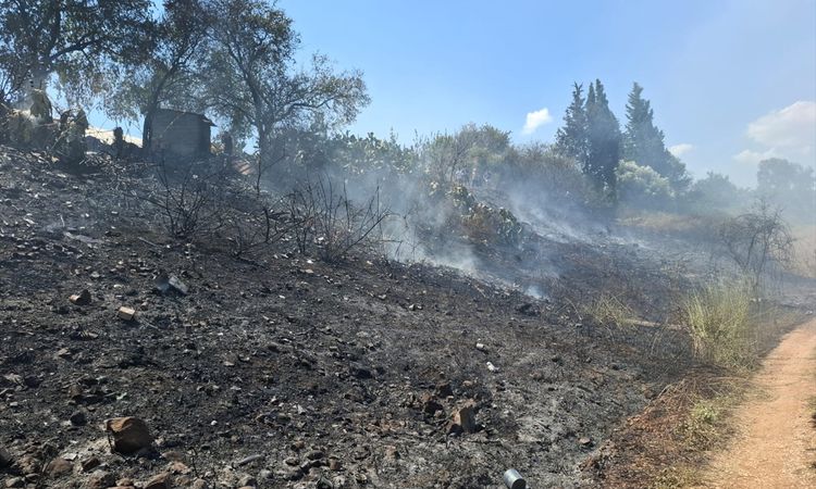 The flames in the grassy area in Serik were extinguished - Breaking News