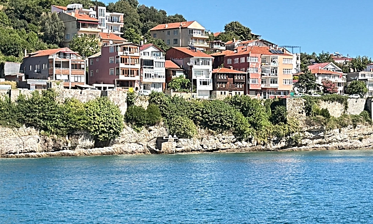 Sıcak Gündem: Amasra Kalesi’nin surlarındaki ağaçlar yeniden büyüdü - Son Dakika Bilgileri
