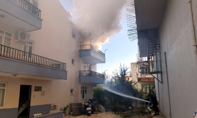 Sıcak Gündem: Antalya Serik'te çıkan yangında balkonda mahsur kalan kediyi Muzaffer Yıldız kurtardı: Gelişmele