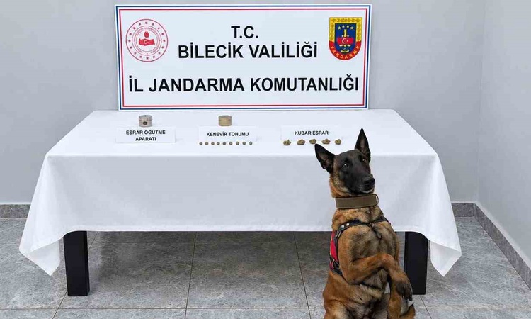 Sıcak Gündem: Bilecik Pazaryeri'nde jandarma narkotik köpekle 65 gram esrar buldu ve Merak Edilenler