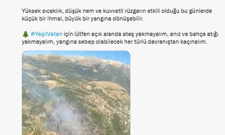 Sıcak Gündem: Bursa ve İzmir'de çıkan orman yangınları kontrol altına alındı: Gelişmeler Takip Ediliyor