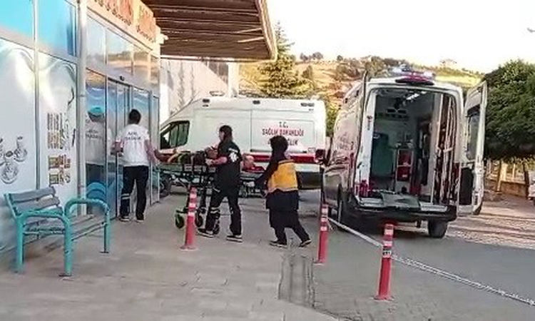 Sıcak Gündem: Ceviz ağacından düşen kişi yaralandı: Gelişmeler Takip Ediliyor