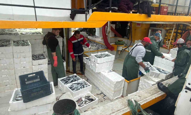 Sıcak Gündem: Didim'de 2026-2027 hamsi kota denetimlerini Tarım ve Orman Müdürlüğü yürütüyor - Son Dakika Bilg