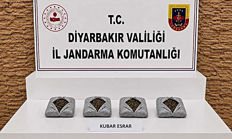 Sıcak Gündem: Diyarbakır’da 187 bin 391 kök kenevir, 25 buçuk kilo esrar ele geçirildi - Son Dakika Bilgileri
