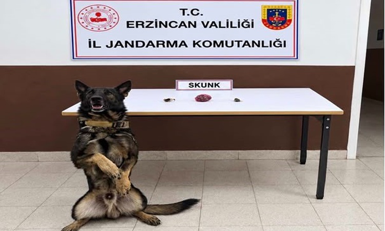 Sıcak Gündem: Erzincan'da jandarma operasyonlarında 13 gram skunk ve 35 gram hammadde ele geçirildi