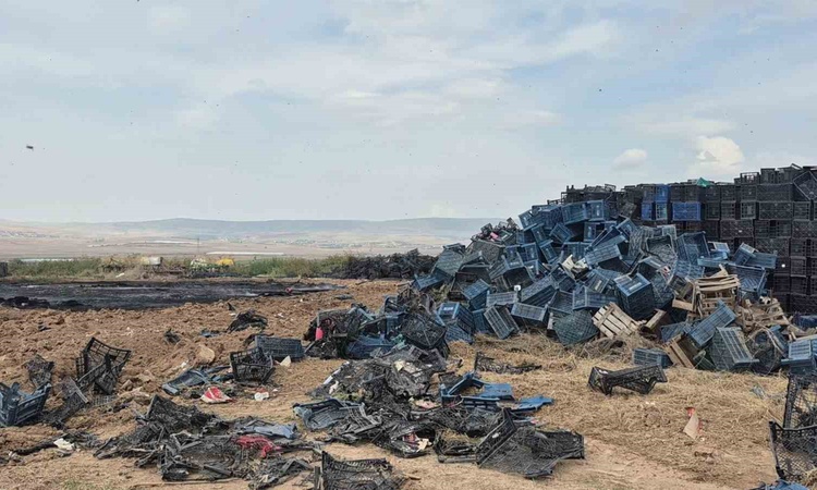 Sıcak Gündem: Eskişehir Tepebaşı'da çıkan yangında binlerce plastik kasa kullanılamaz hale geldi - Son Dakika