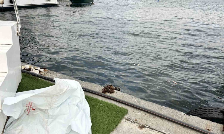 Sıcak Gündem: Fatih Cibali Sahili'nde deniz polisince bulunan erkek cesedi morga kaldırıldı ve Merak Edilenler