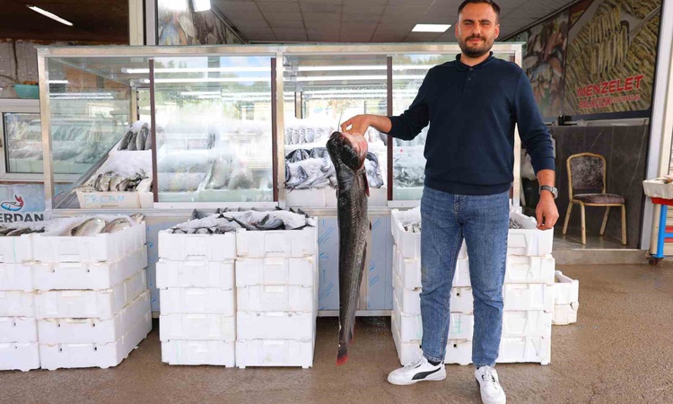 Sıcak Gündem: Kahramanmaraş'ta balık sezonu resmen start aldı, fiyatlar 200 ile 1000 lira arasında değişiyor: