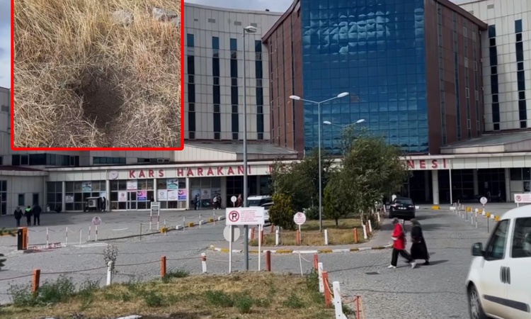Sıcak Gündem: Kars'ta bebek vahşeti! Ağzından peçete çıktı, anne ile anneanne hakkında tutuklama kararı verild
