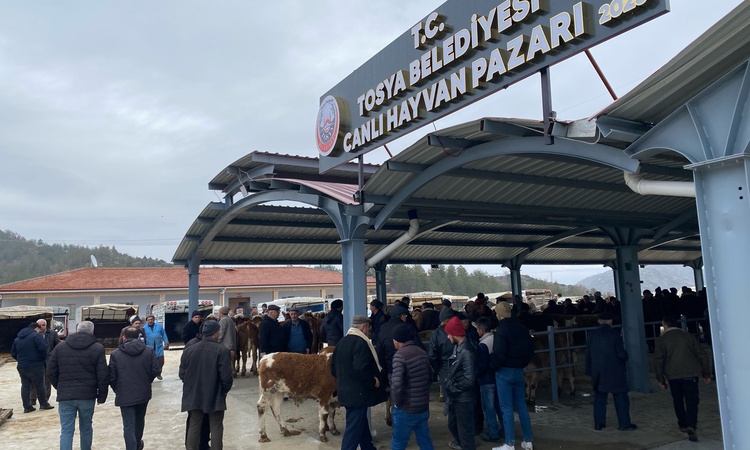 Sıcak Gündem: Kastamonu'nun Tosya ilçesinde şap nedeniyle canlı hayvan pazarı kapatıldı - Son Dakika Bilgileri