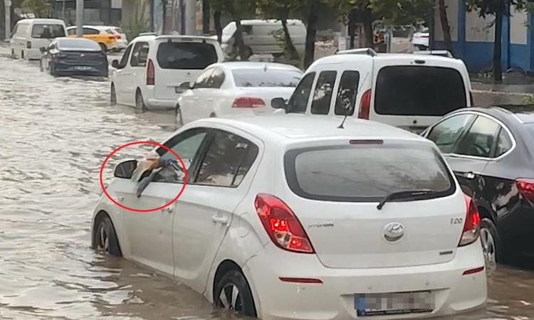 Sıcak Gündem: Otomobiline dolan suyu bardakla tahliye etmeye çalıştı - Son Dakika Bilgileri