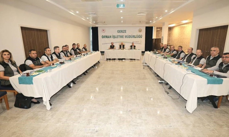 Sıcak Gündem: Sinop Orman Bölge Müdürlüğü 2027 damga planlamalarını Gerze'de değerlendirdi - Son Dakika Bilgil