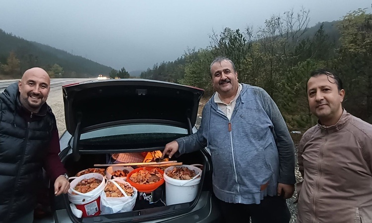 Sıcak Gündem: Tavşanlı'dan Orhaneli'ye gidenler yeni sezonun ilk melki mantarını topladı
