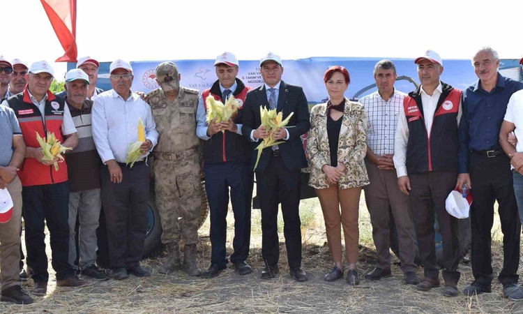 Sıcak Gündem: Tuşba'da 1.500 dekarda silajlık mısır hasadında dekardan 6-7 ton verim alınıyor