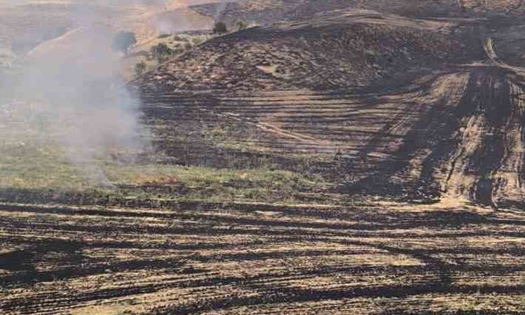 Son Gelişme: Siirt'te Anız Yangını Meyve Bahçesine Sıçradı: 100 Ağaç Zarar Gördü - Son Dakika - Son Dakika Bil